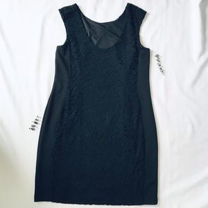 New York and Company Fitted Lace Scoop-neck Dress